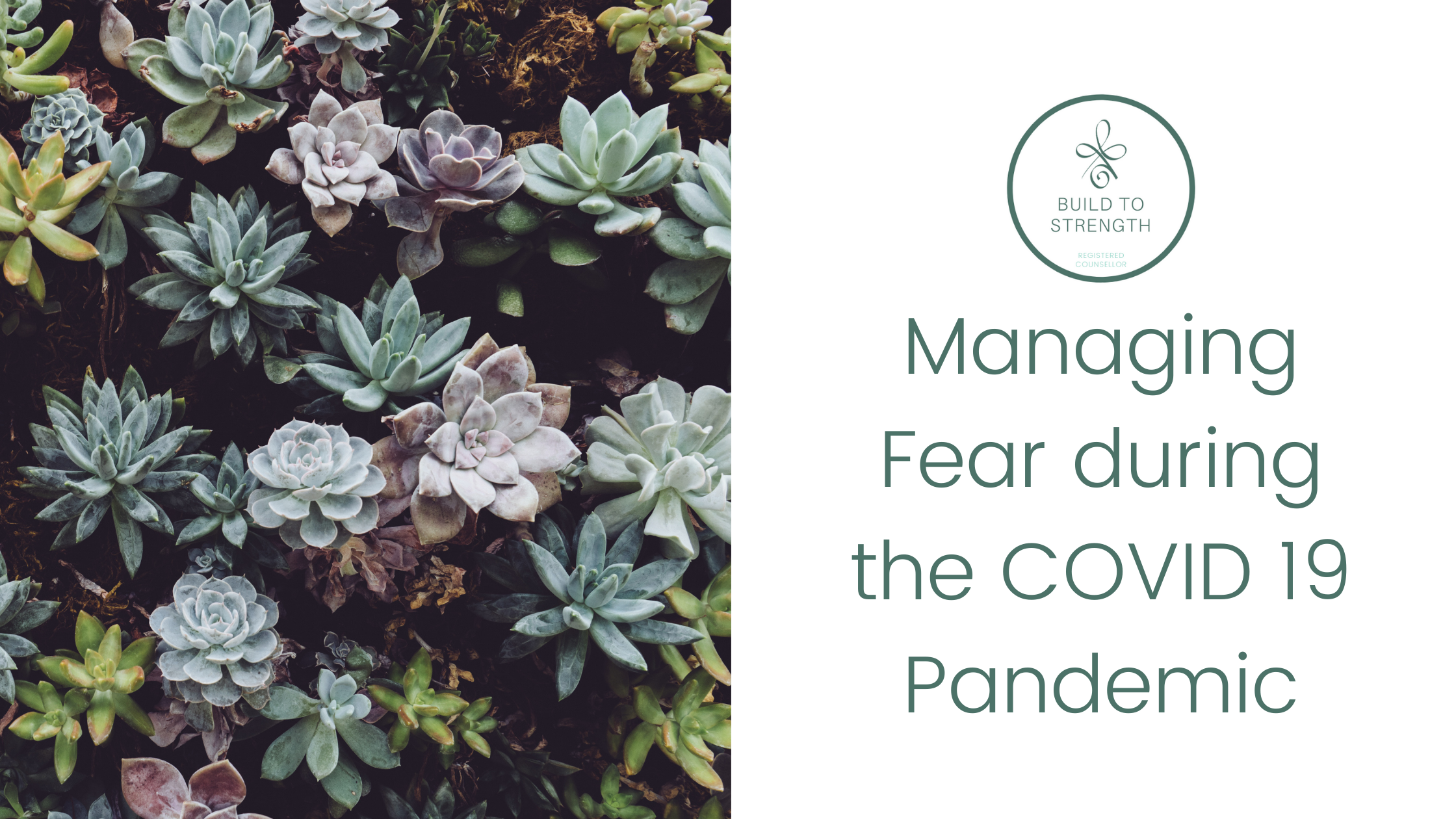 Maintaining Your Emotional Well-Being during Covid 19