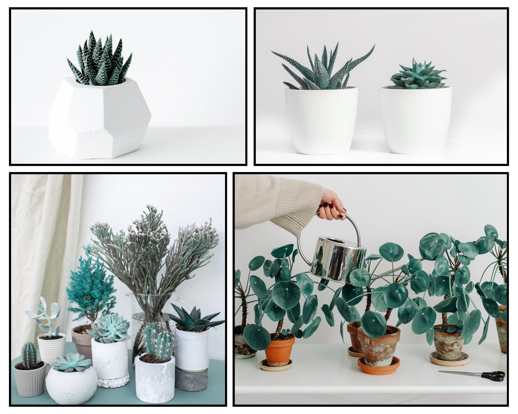 Website Counselling pictures